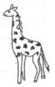 (girafa)